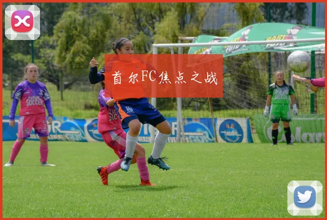 首尔FC焦点之战