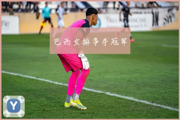 巴西女排争夺冠军