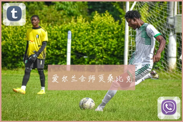 爱尔兰会师莫桑比克