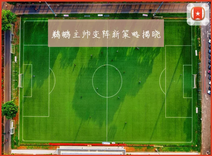 鹈鹕主帅变阵新策略揭晓