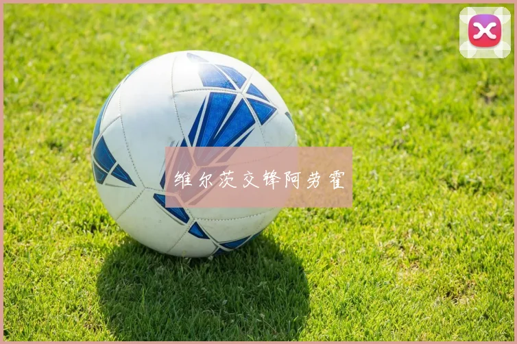 维尔茨交锋阿劳霍