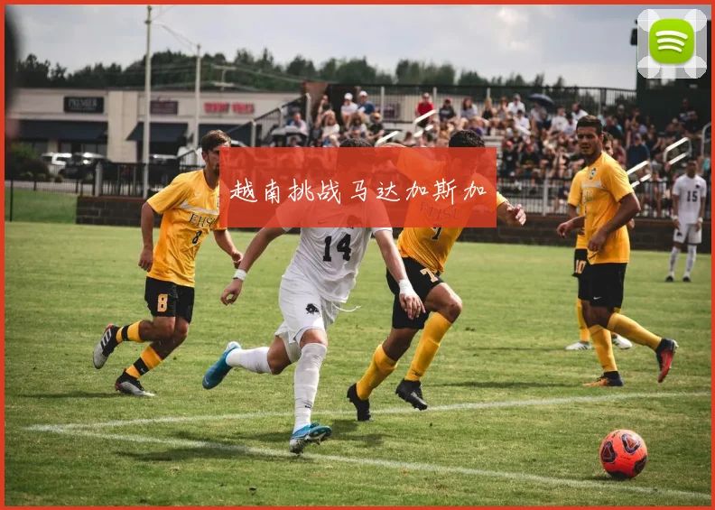 越南挑战马达加斯加
