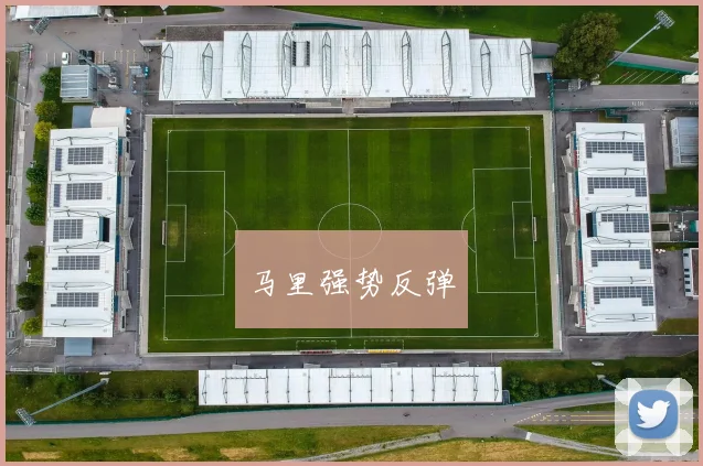 马里强势反弹