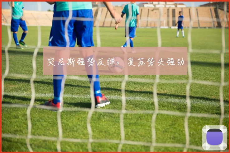 突尼斯强势反弹，复苏势头强劲