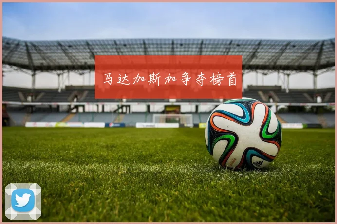 马达加斯加争夺榜首
