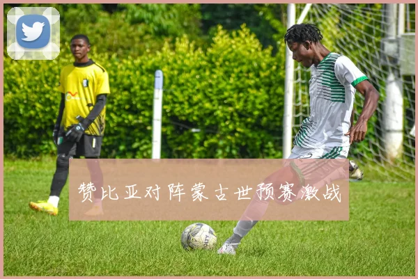 赞比亚对阵蒙古世预赛激战