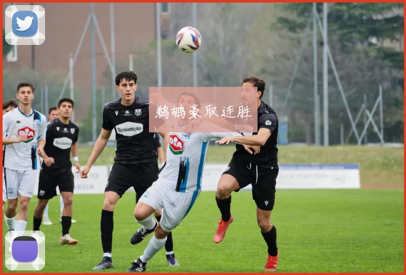 鹈鹕豪取连胜