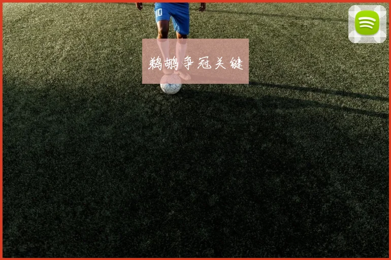 鹈鹕争冠关键