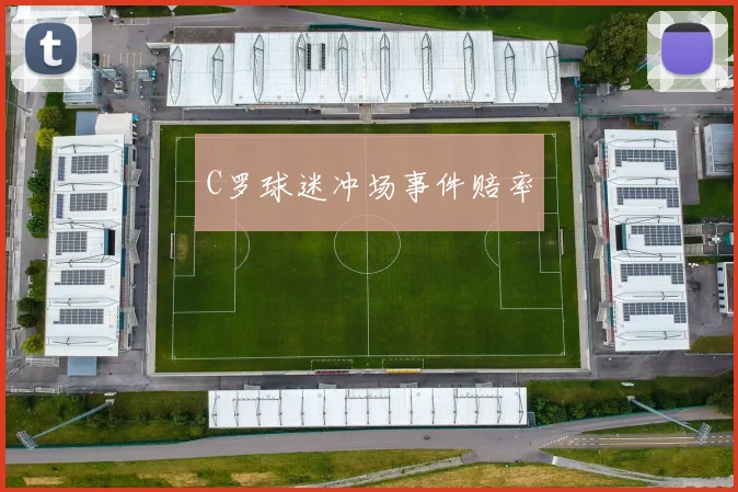 C罗球迷冲场事件赔率