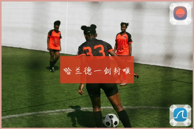 哈兰德一剑封喉
