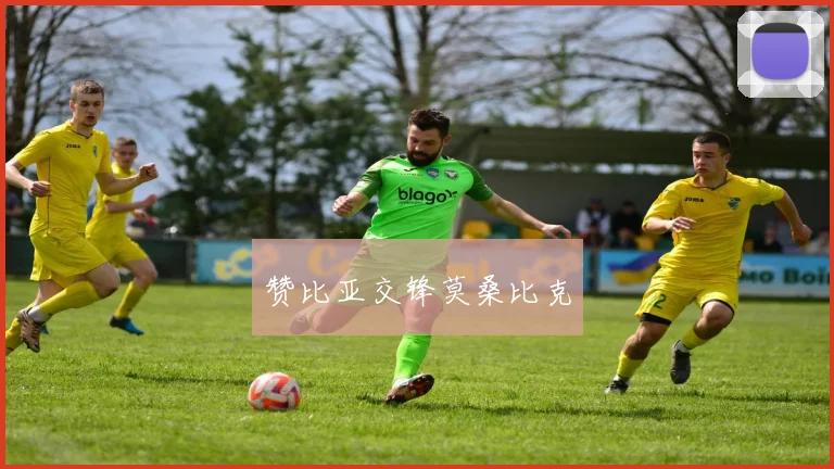 赞比亚交锋莫桑比克