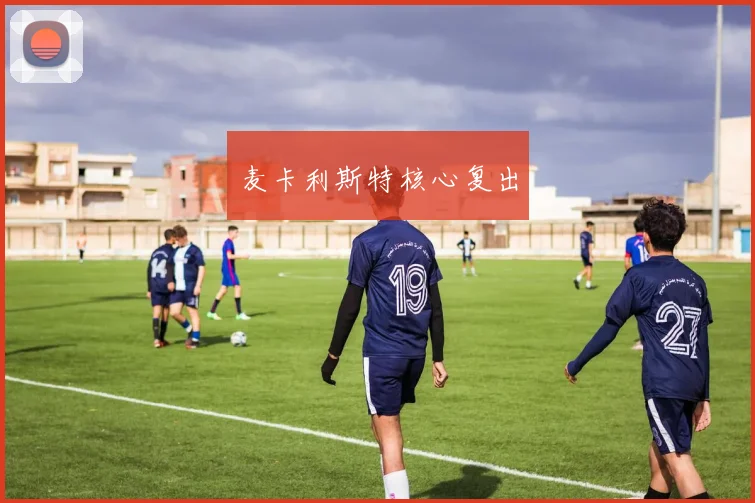 麦卡利斯特核心复出