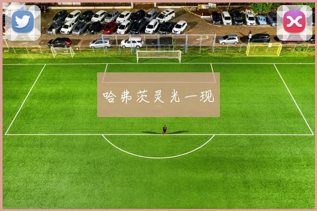 哈弗茨灵光一现