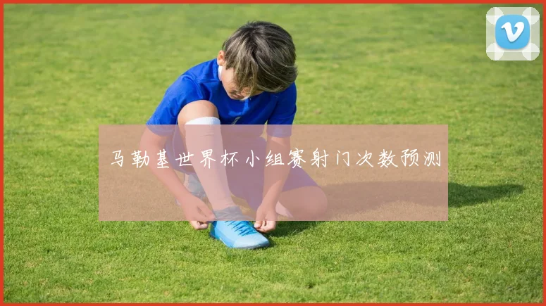 马勒基世界杯小组赛射门次数预测