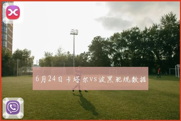 6月24日卡塔尔vs波黑犯规数据