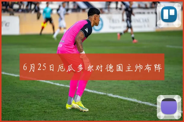 6月25日厄瓜多尔对德国主帅布阵