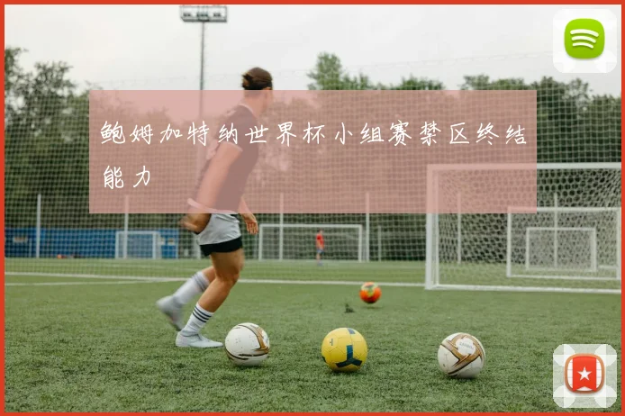 鲍姆加特纳世界杯小组赛禁区终结能力