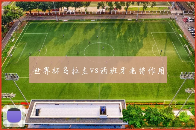 世界杯乌拉圭vs西班牙老将作用