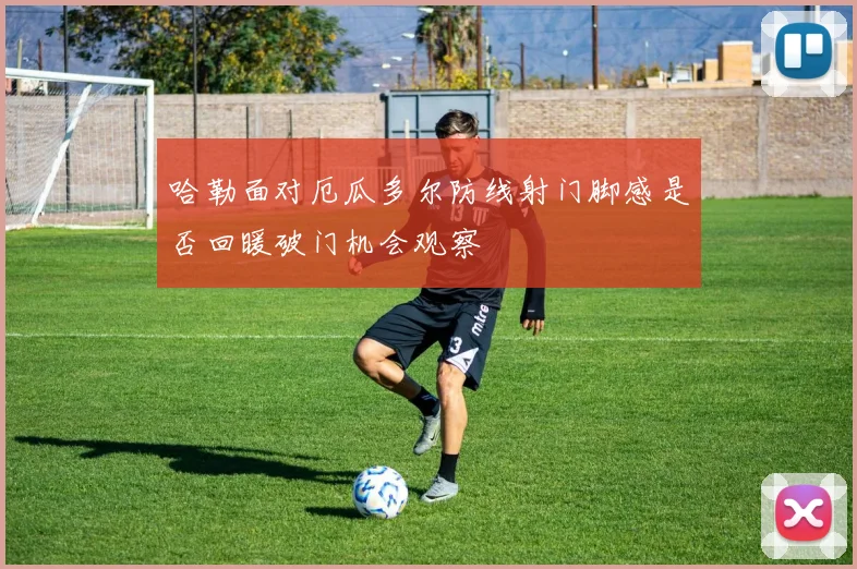 哈勒面对厄瓜多尔防线射门脚感是否回暖破门机会观察