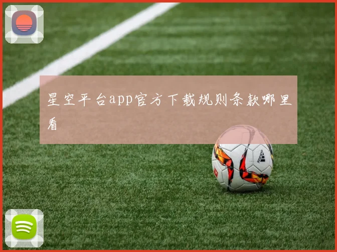星空平台app官方下载规则条款哪里看