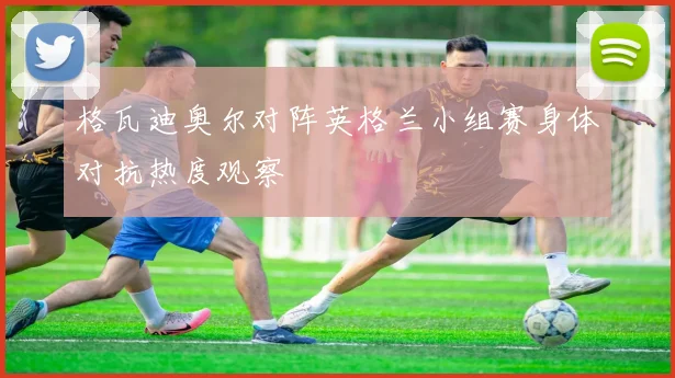 格瓦迪奥尔对阵英格兰小组赛身体对抗热度观察